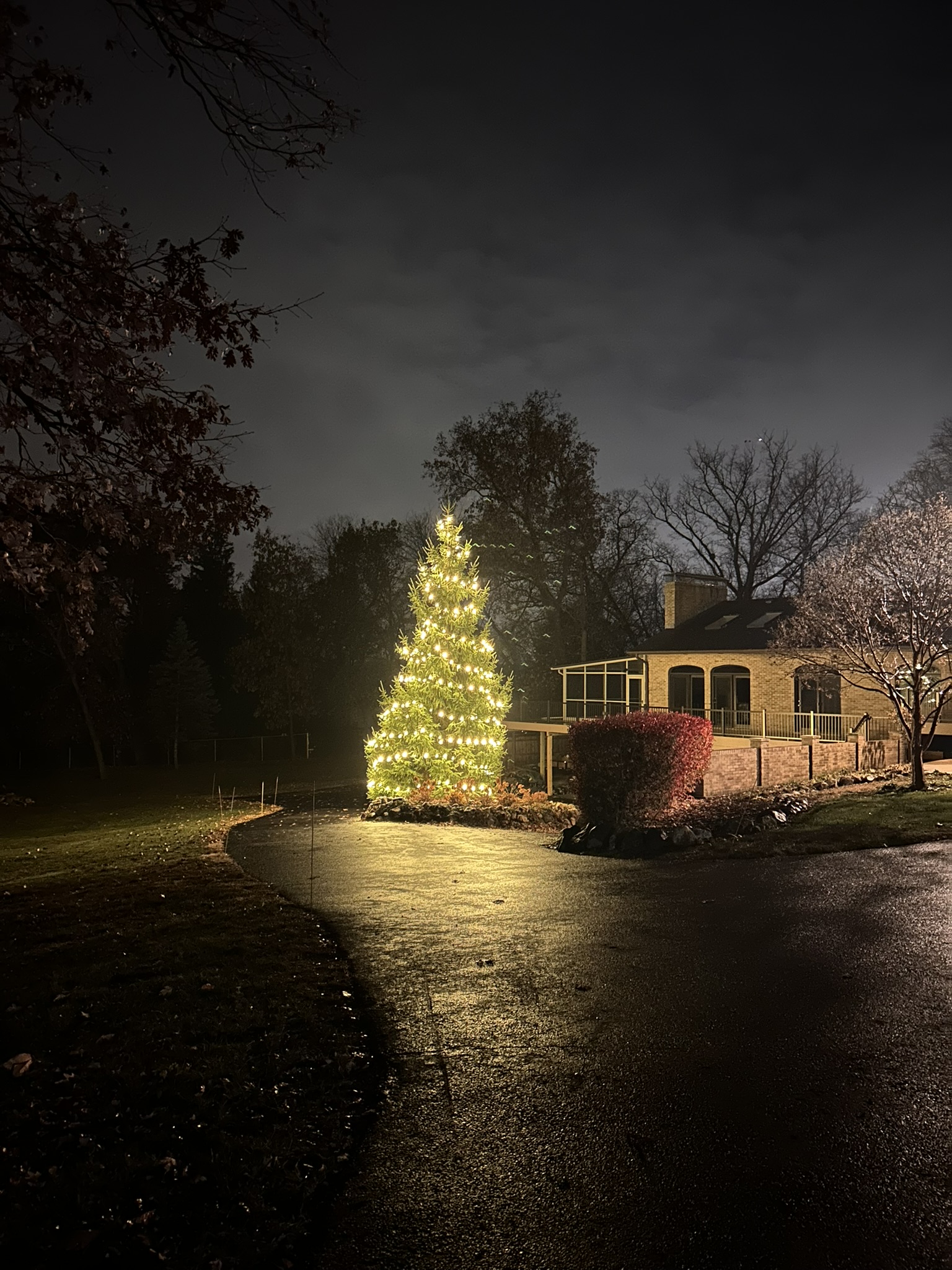 Tall evergreen fully wrapped in warm white lights beside a home
